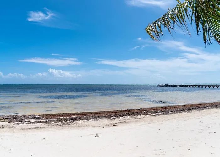 Residences At Barrier Reef Unit 2b Oceanview 2 Bedroom By Floreo * San Pedro (Ambergris Caye)